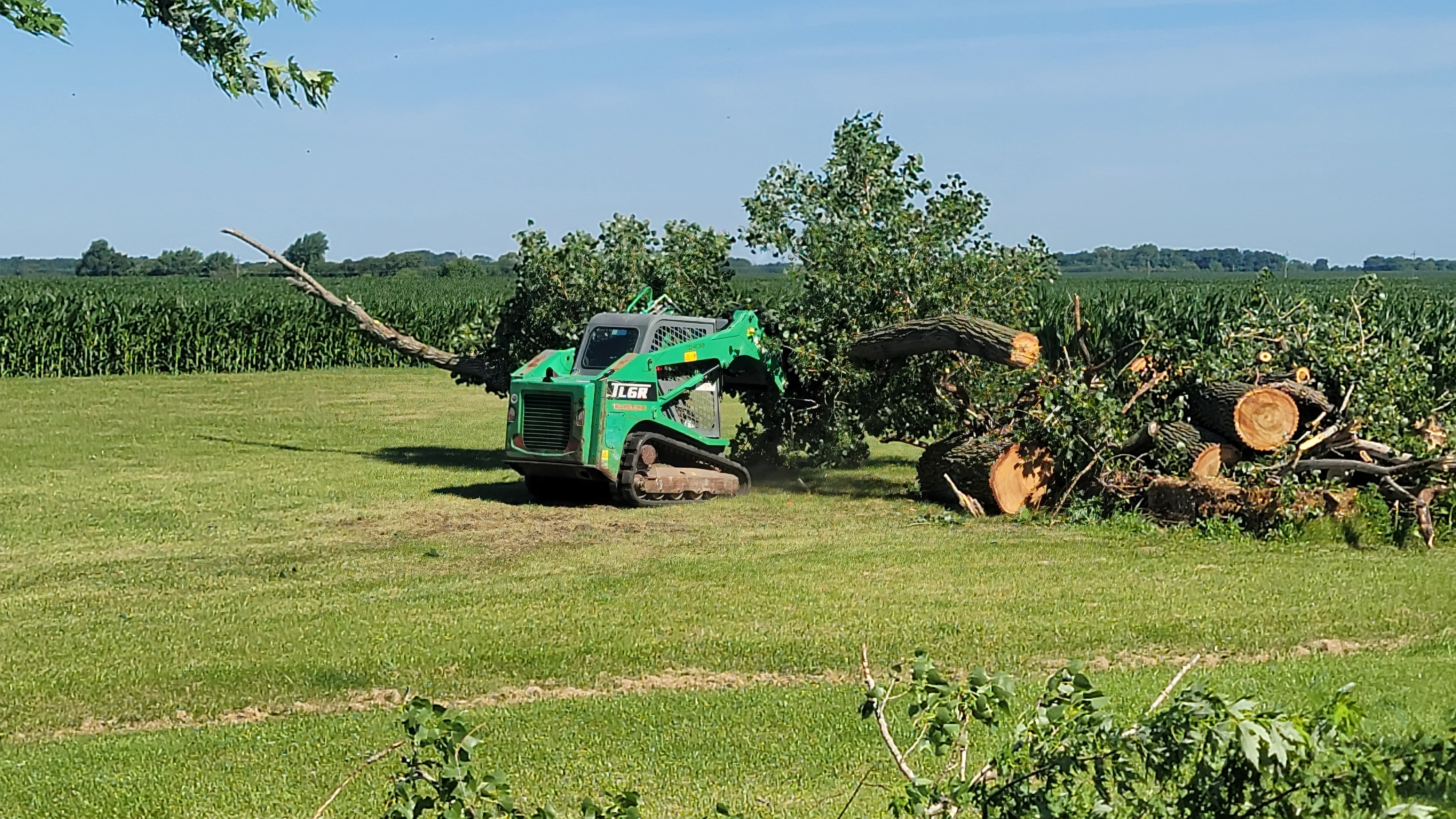 Avatar for D & S Tree Service