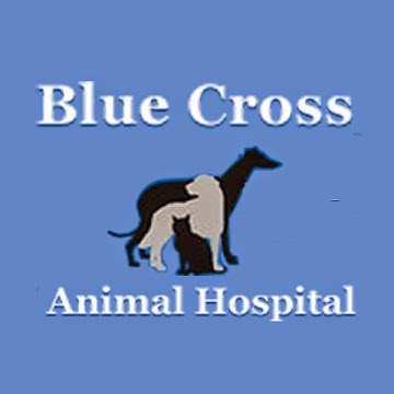 Logo for Blue Cross Animal Hospital