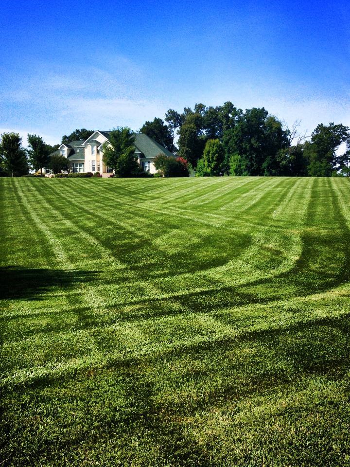 Board's Lawn Care logo
