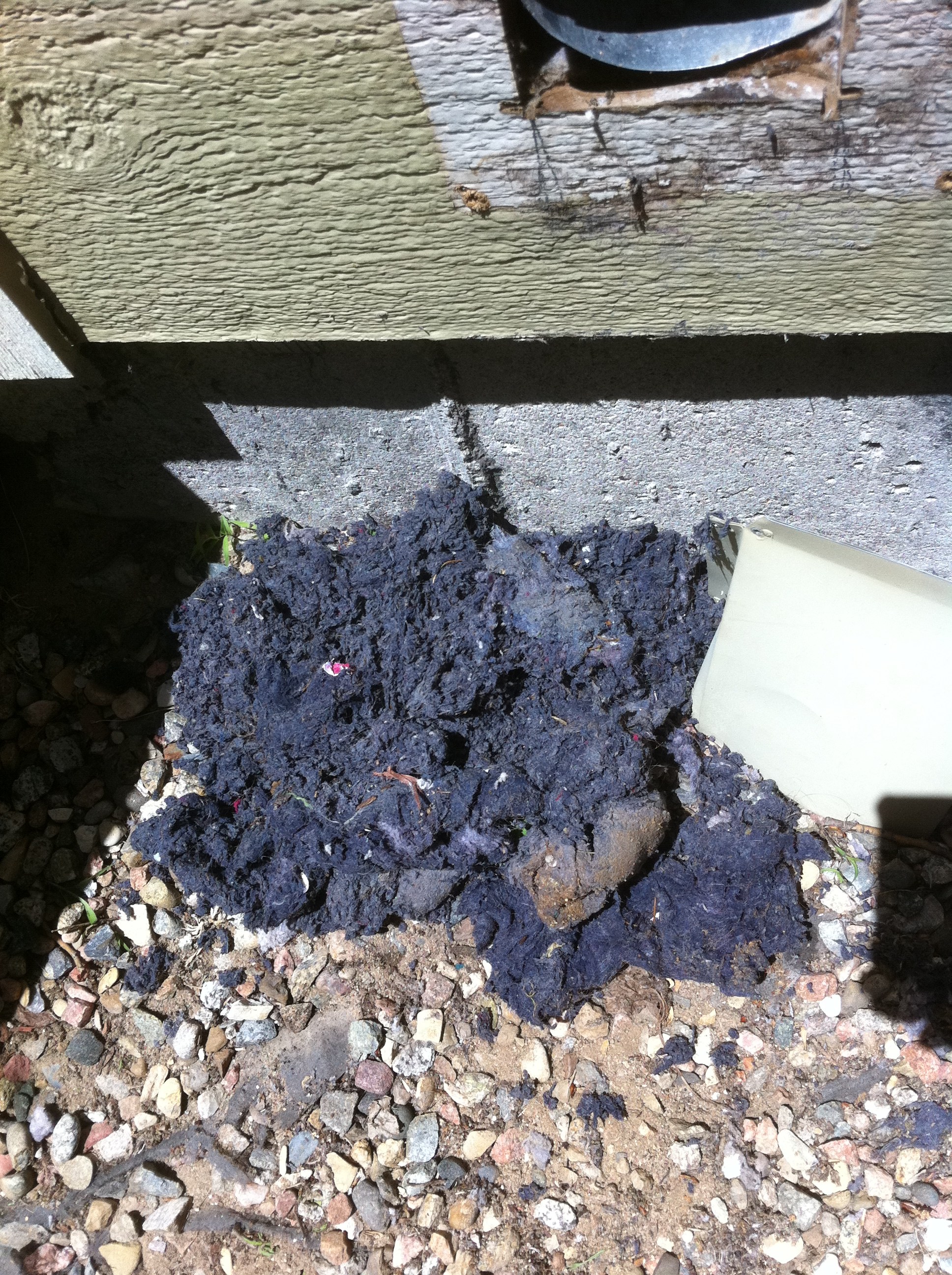 Avatar for Complete Air Duct Cleaning