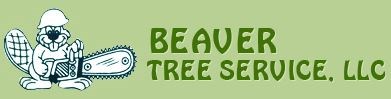 Avatar for BEAVER TREE SVC