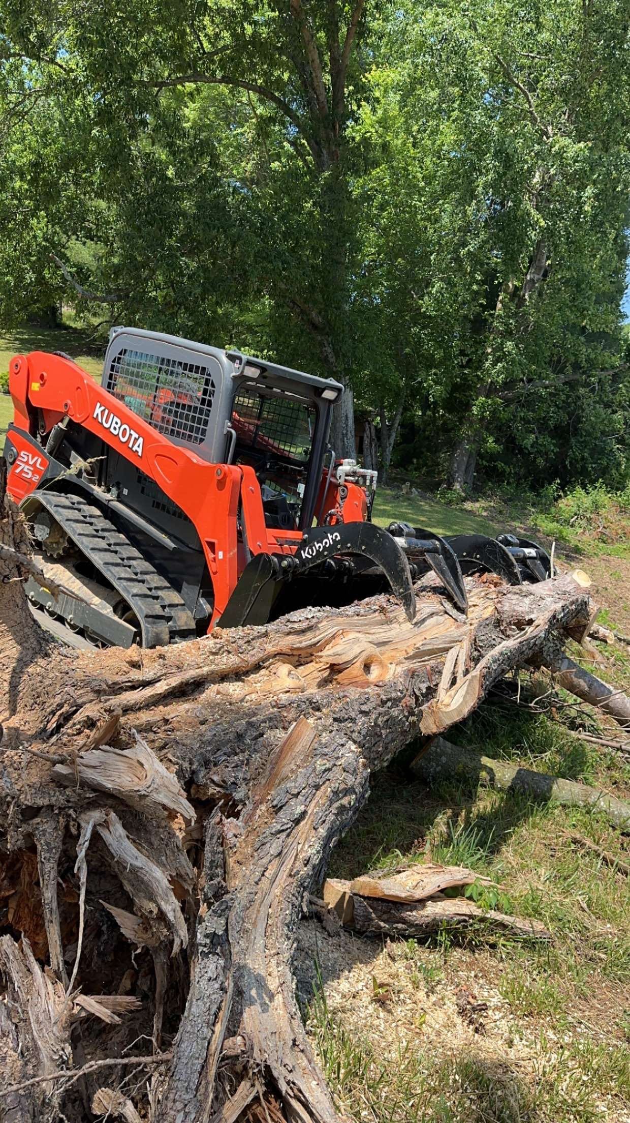 Avatar for Triple J lawn services