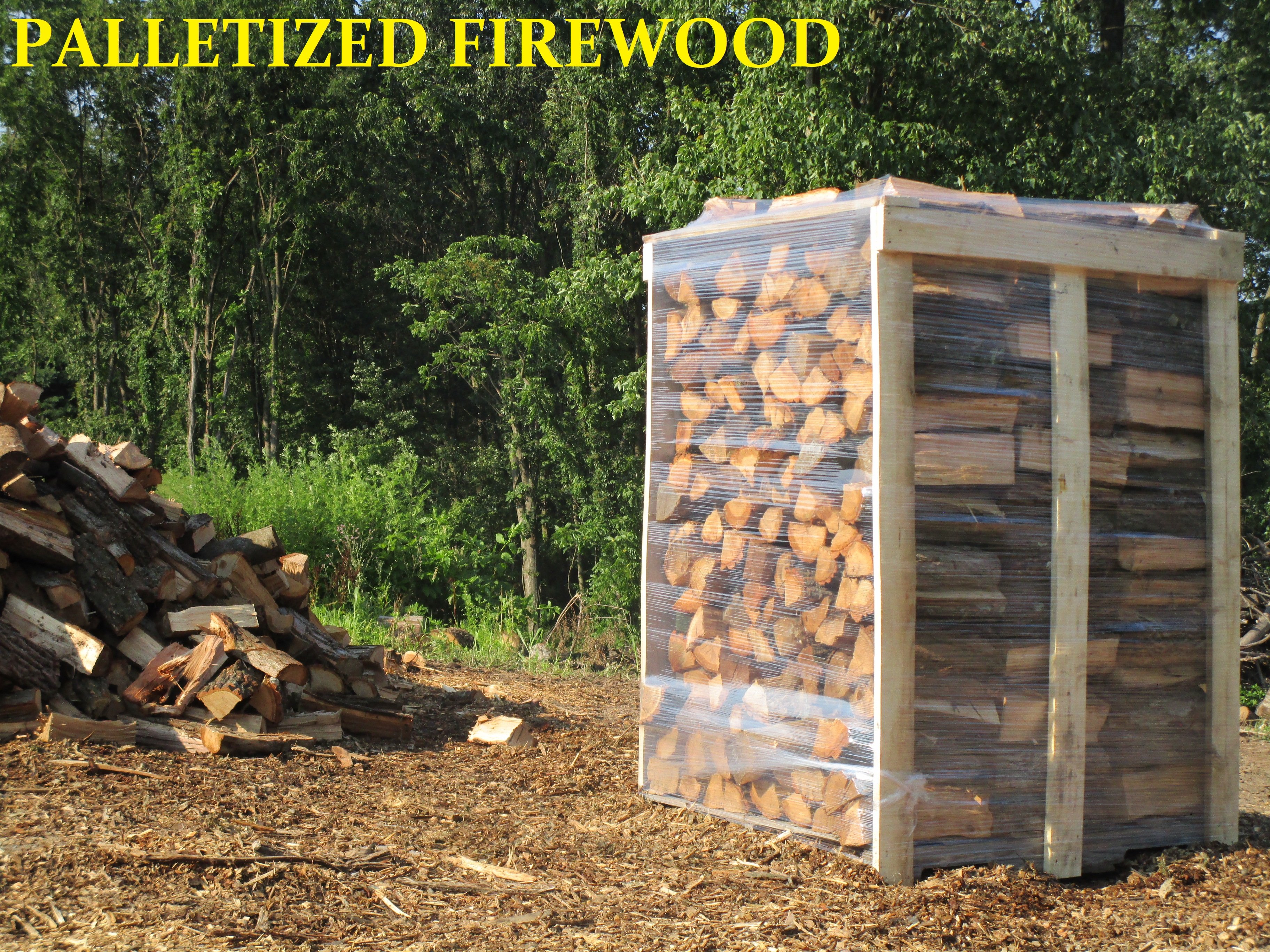 Avatar for Penn Haven Tree Works