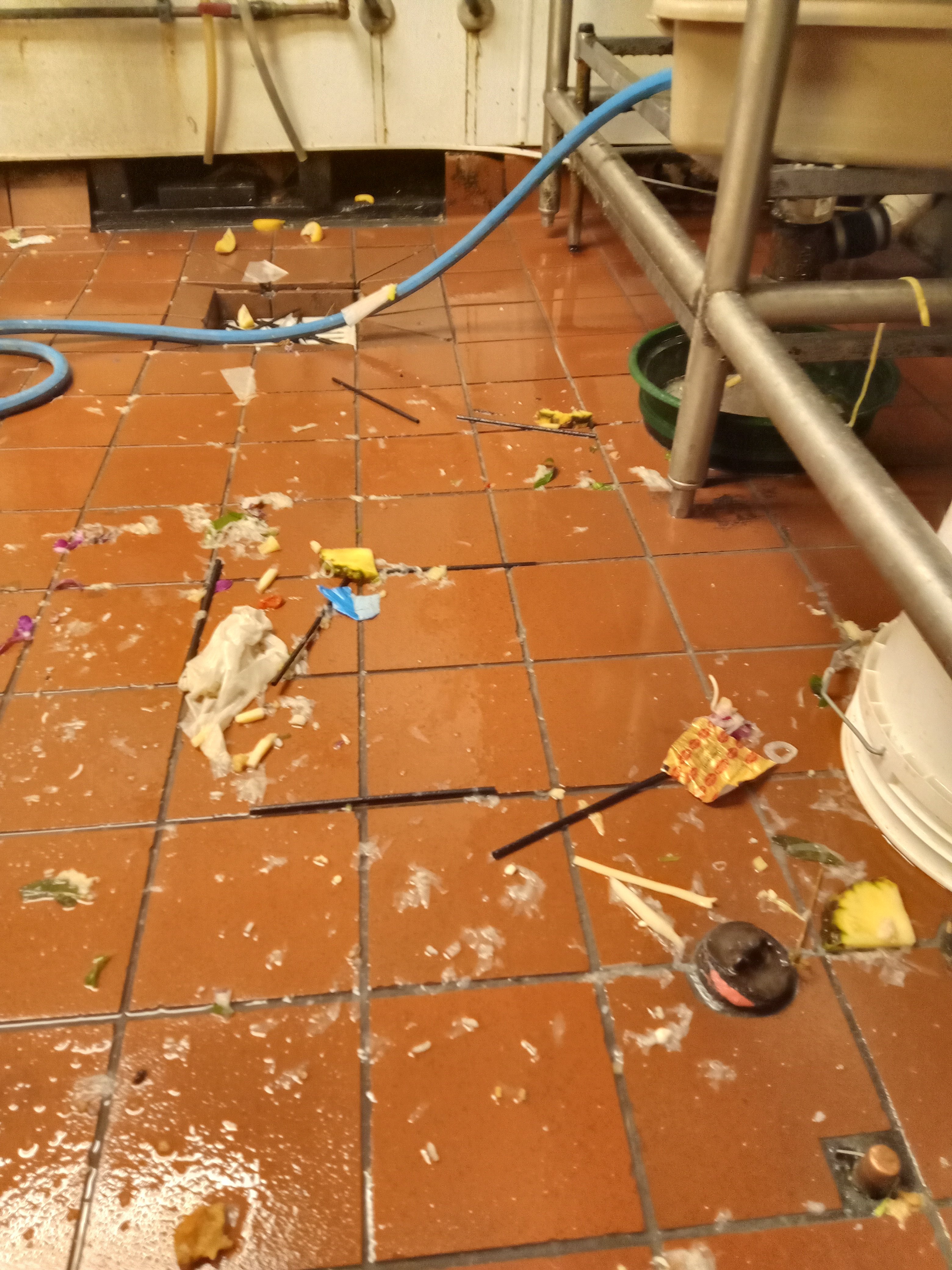 Avatar for janitorialsolutionshawaii