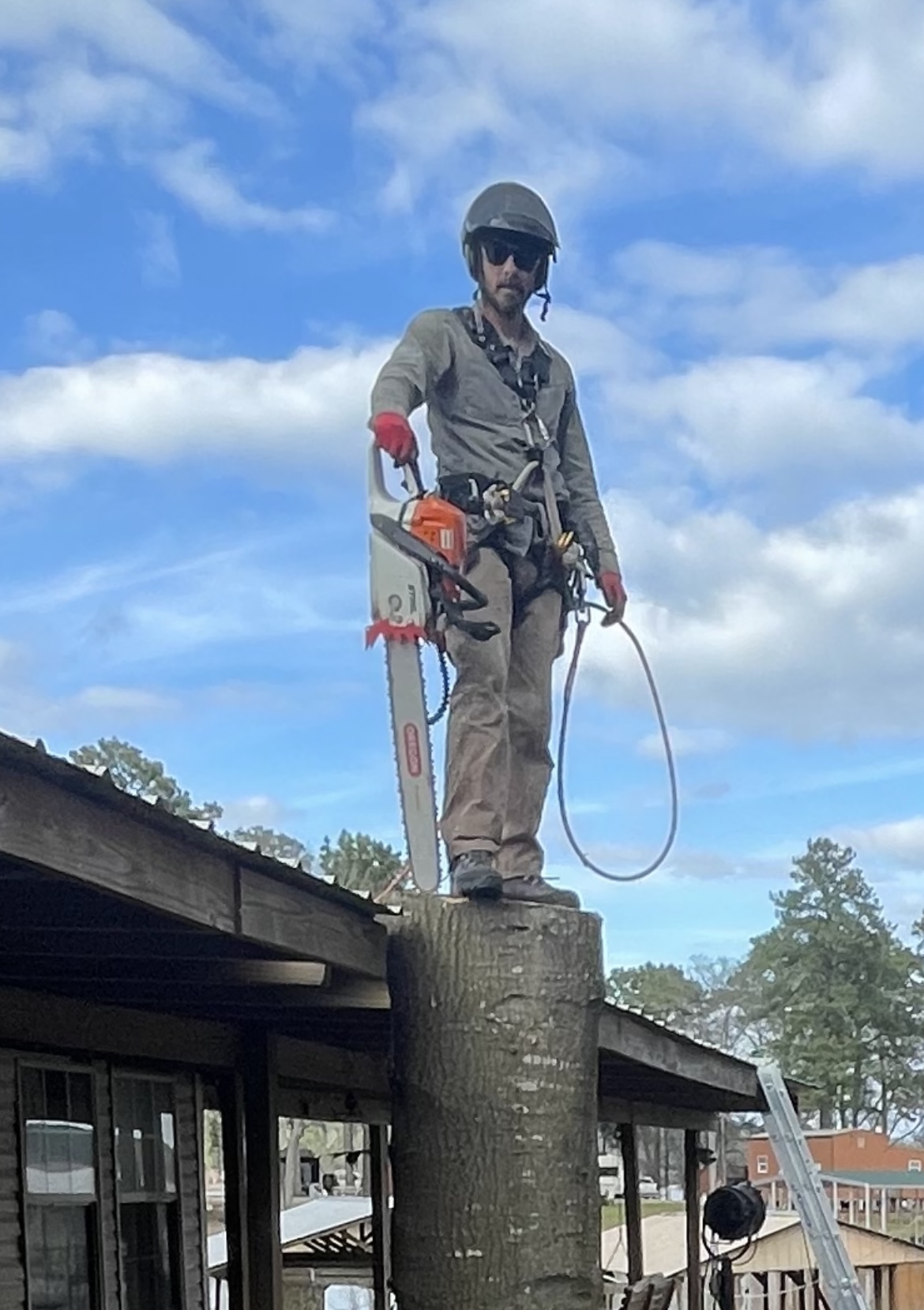 Logo for Tumbleweed Tree Service