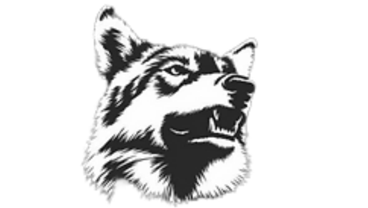 Avatar for Garwolf Rain Gutter