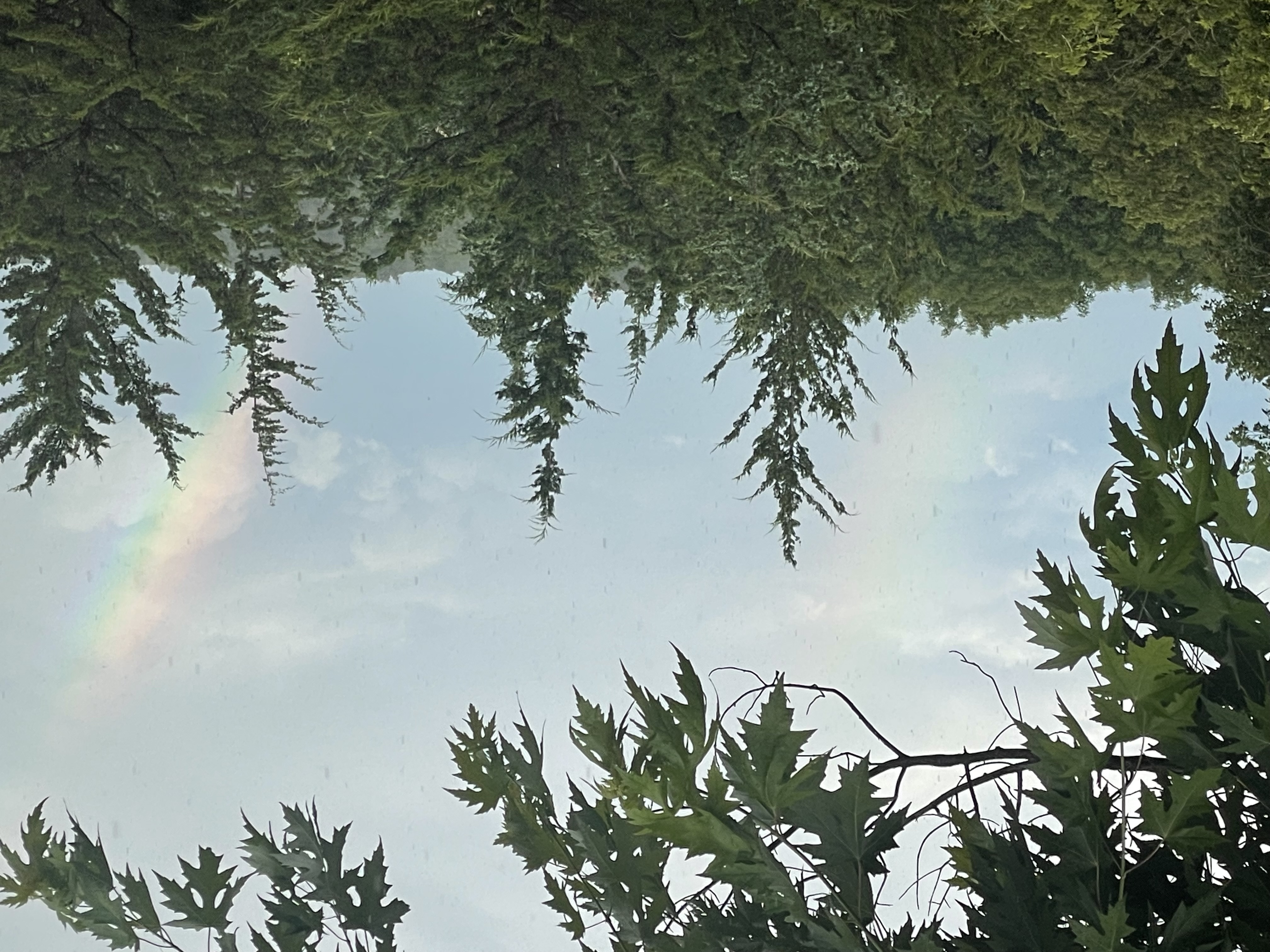 Avatar for Adam’s Handyman Service