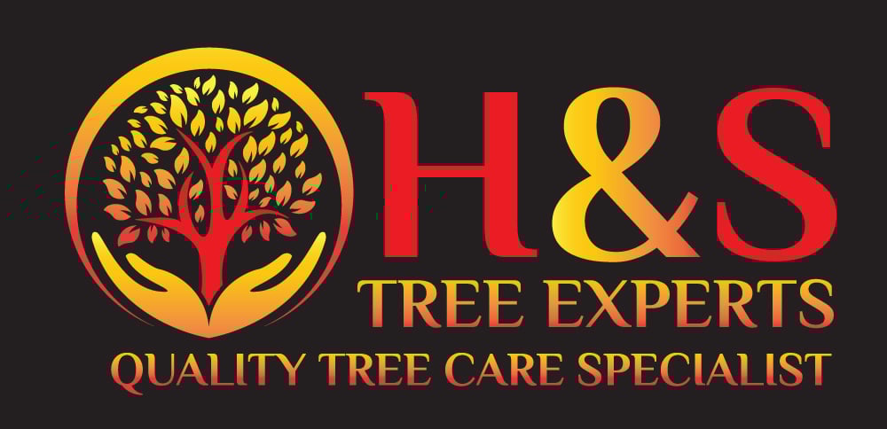 Avatar for H&S Tree Experts 