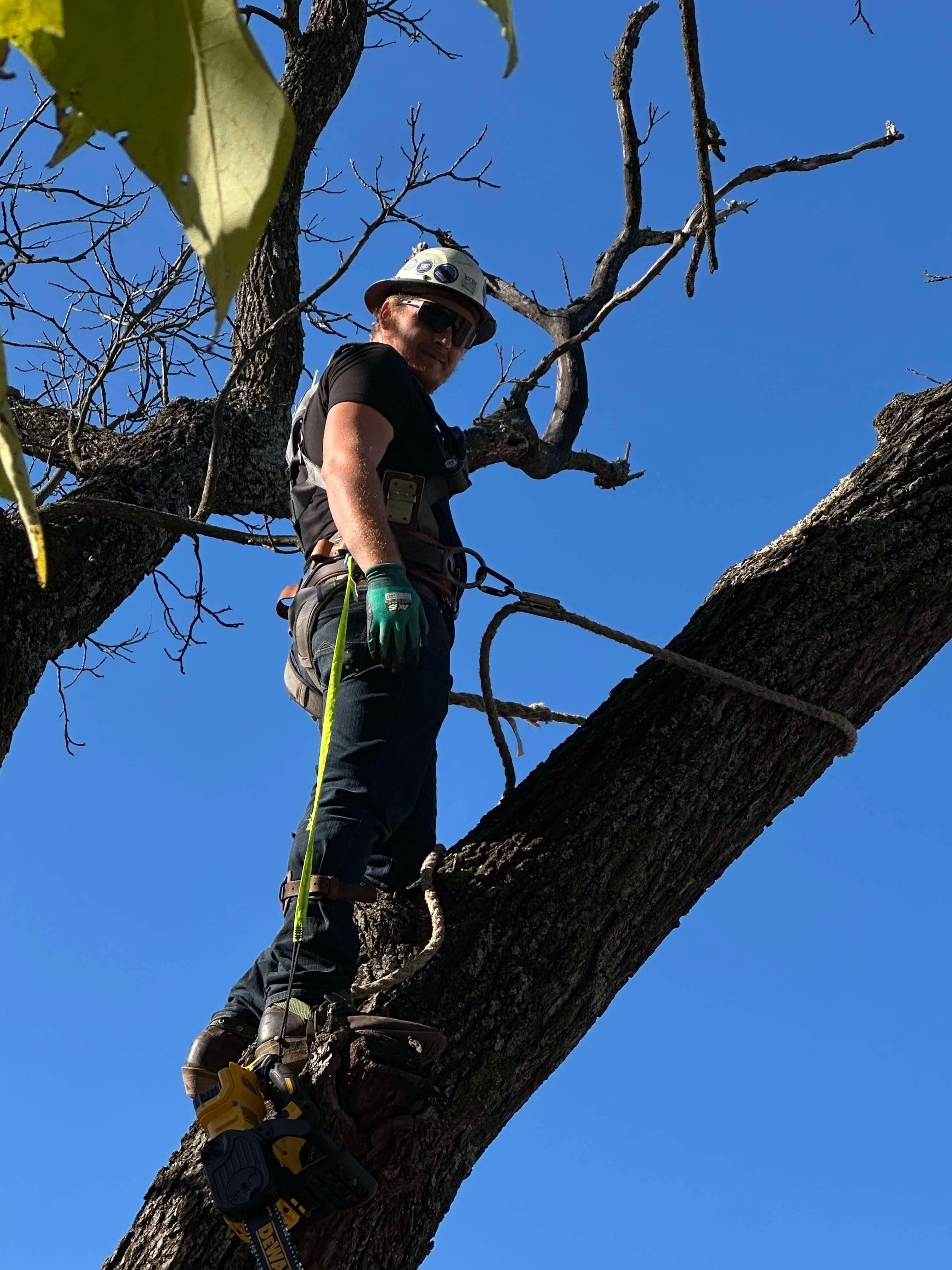 Avatar for DWD Services L.L.C