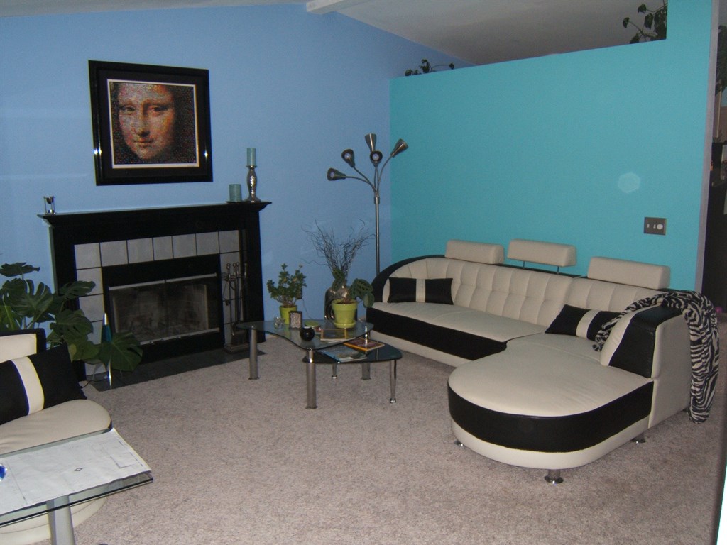 Custom Interior Colors