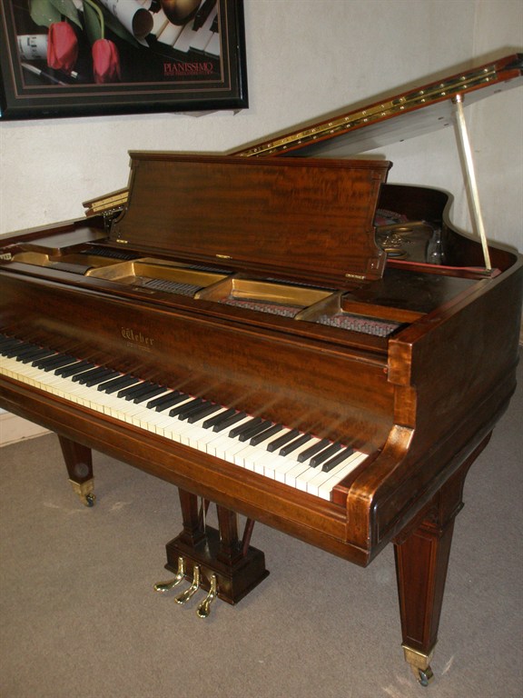 Weber Grand for sale