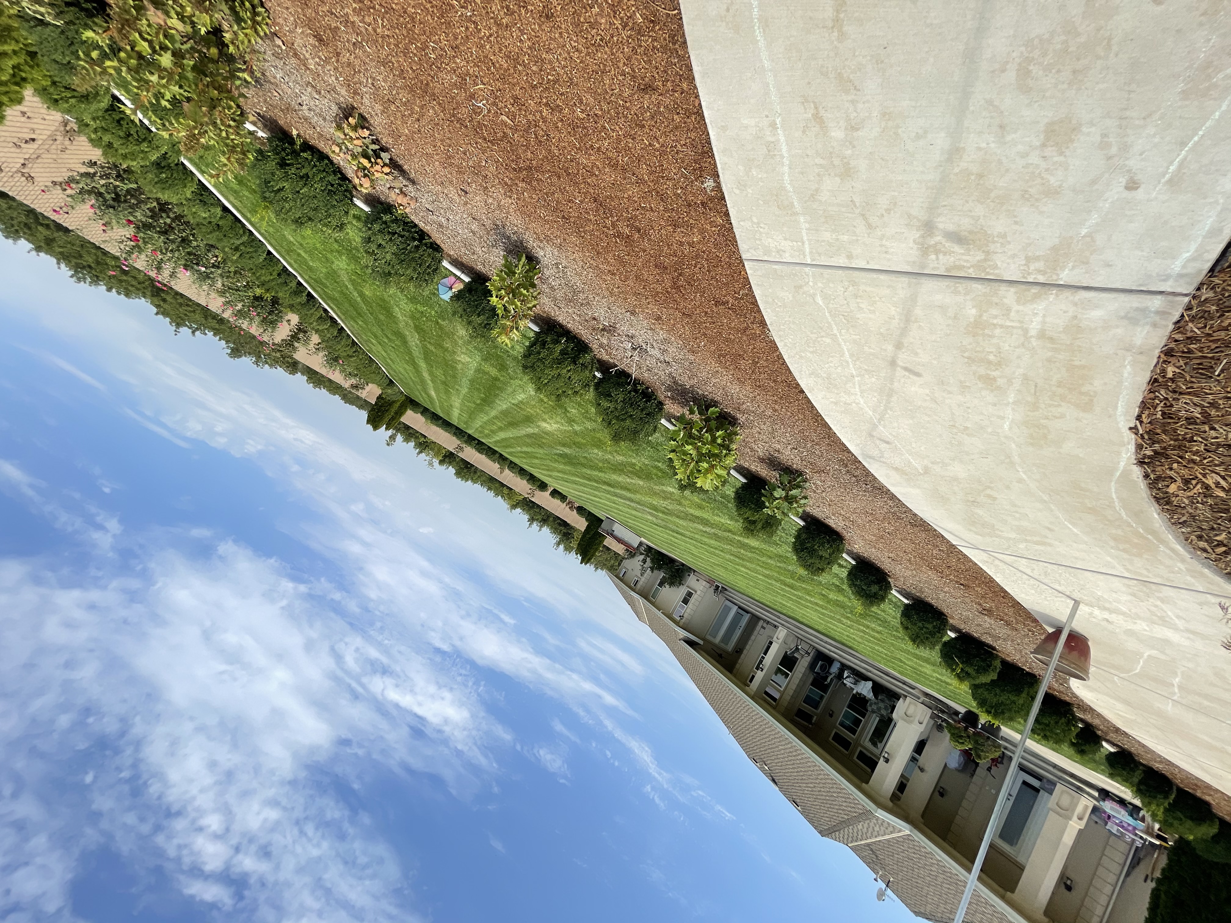 Avatar for Rodrigo Meza