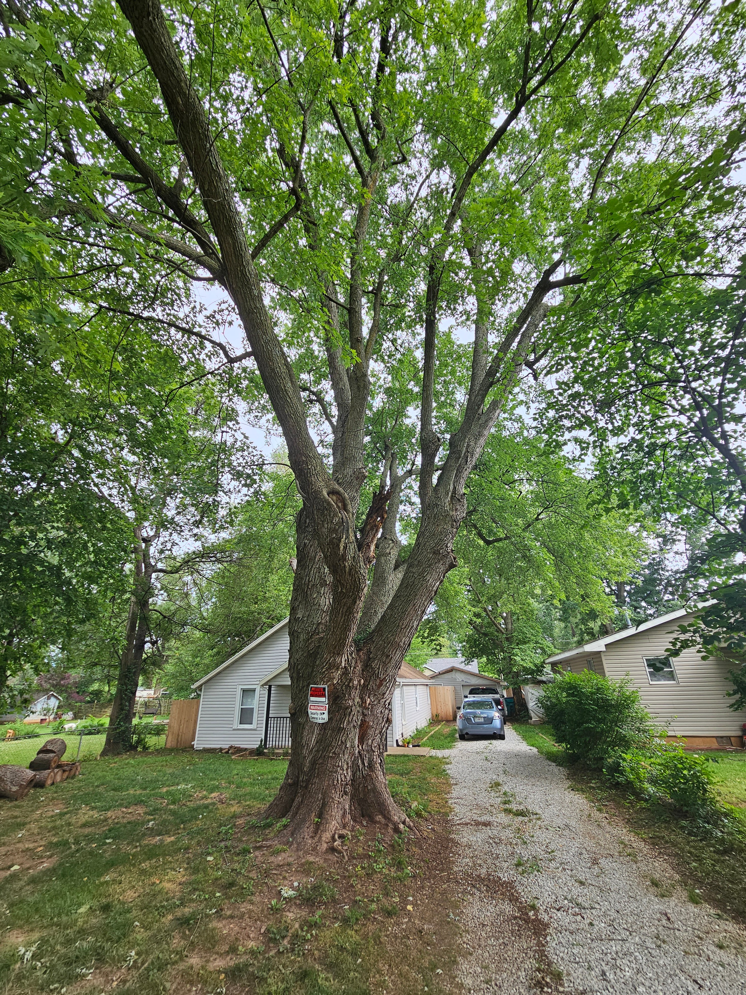 Avatar for D and C outdoor services