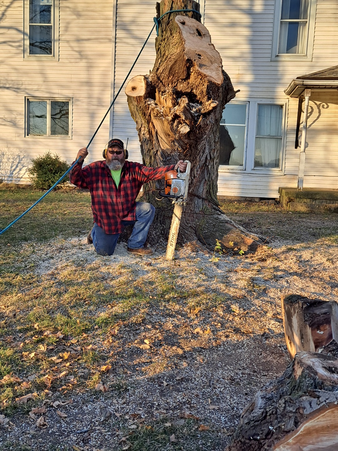 Avatar for Lyons Tree Service