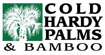 Avatar for Cold Hardy Palms & Bamboo