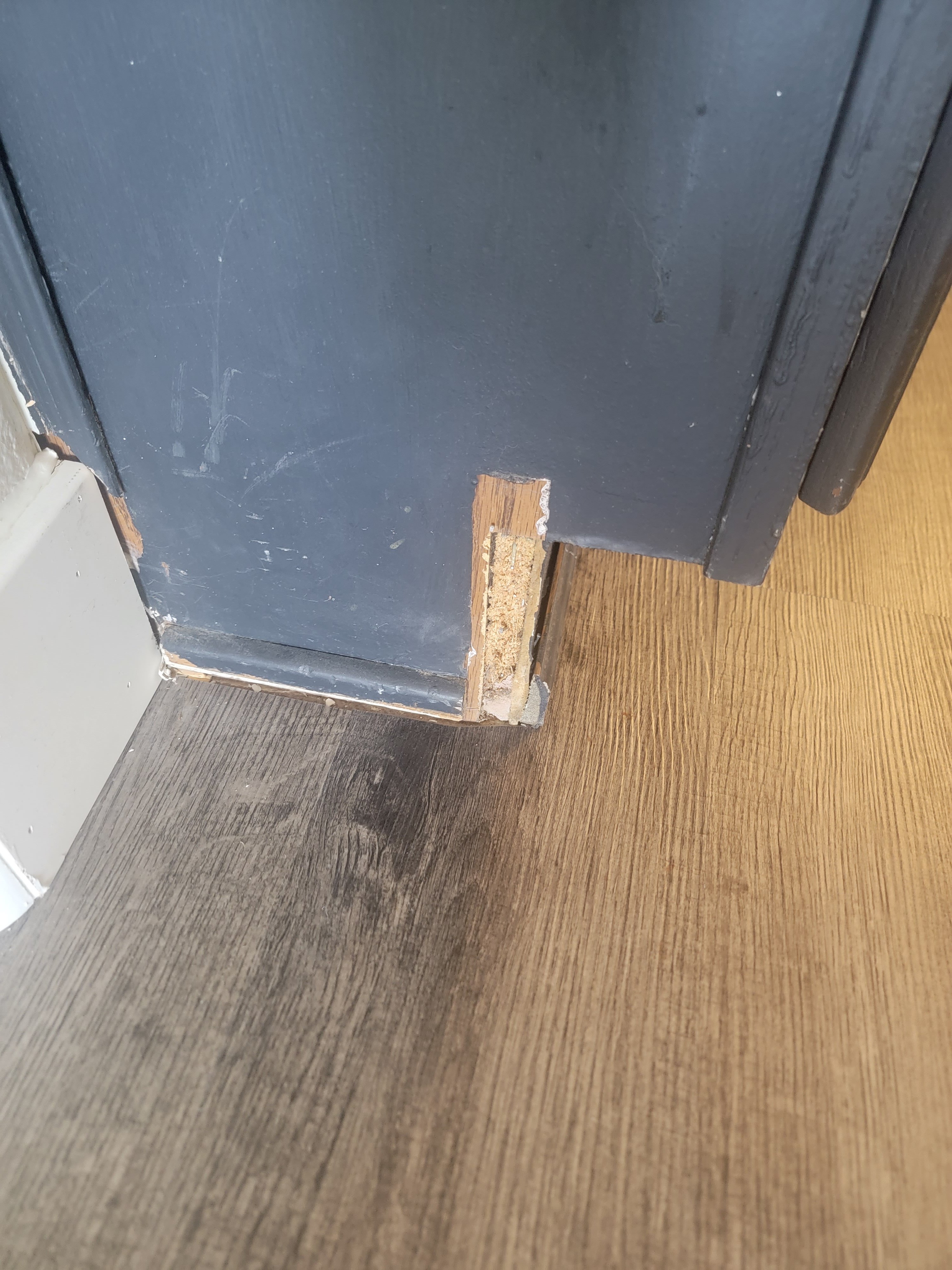 Express Flooring Phoenix Complaints Floor Roma