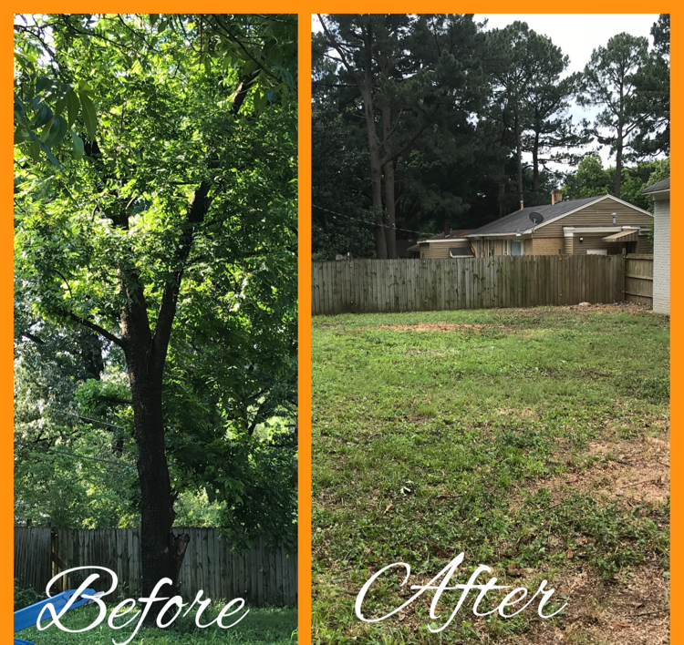 Sanders Tree & Debris Removal Reviews Memphis, TN Angi