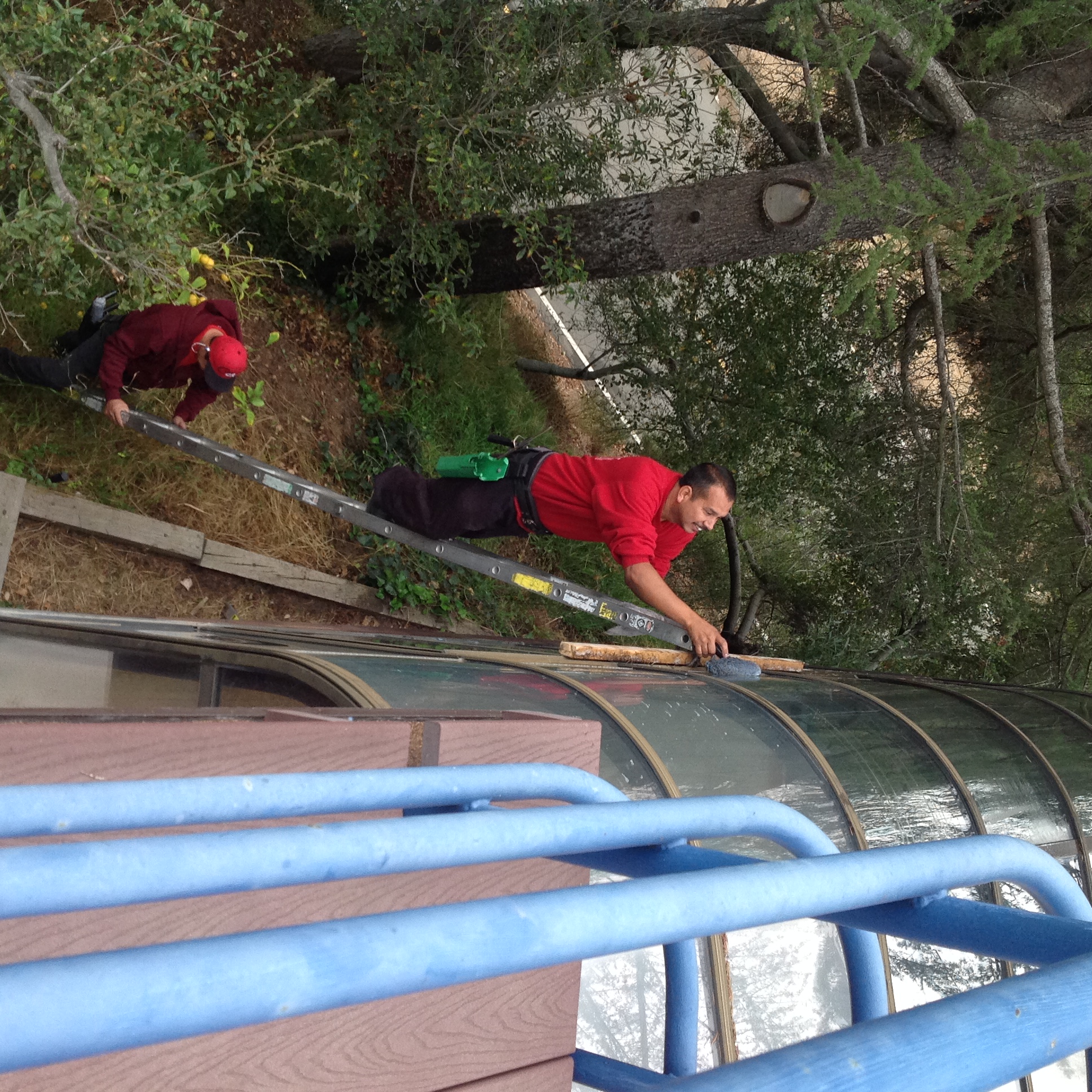 Logo for Accurate Window Cleaning