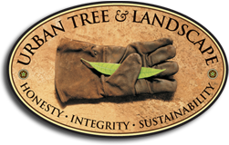 Logo for Urban Tree & Landscape