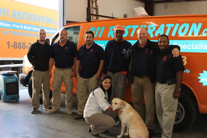 Avatar for 911 Restoration Of Charlotte