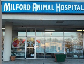 Logo for MILFORD ANIMAL HOSPITAL
