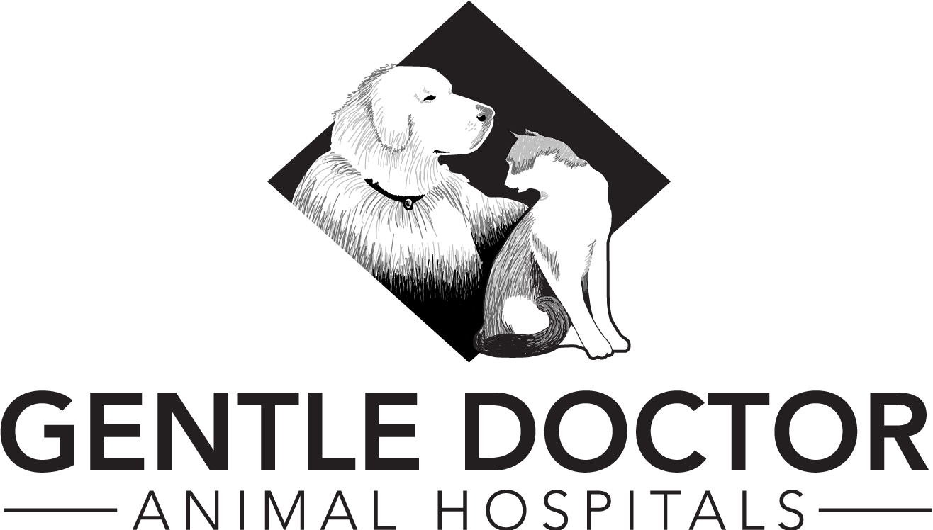 Logo for Gentle Doctor Animal Hospital