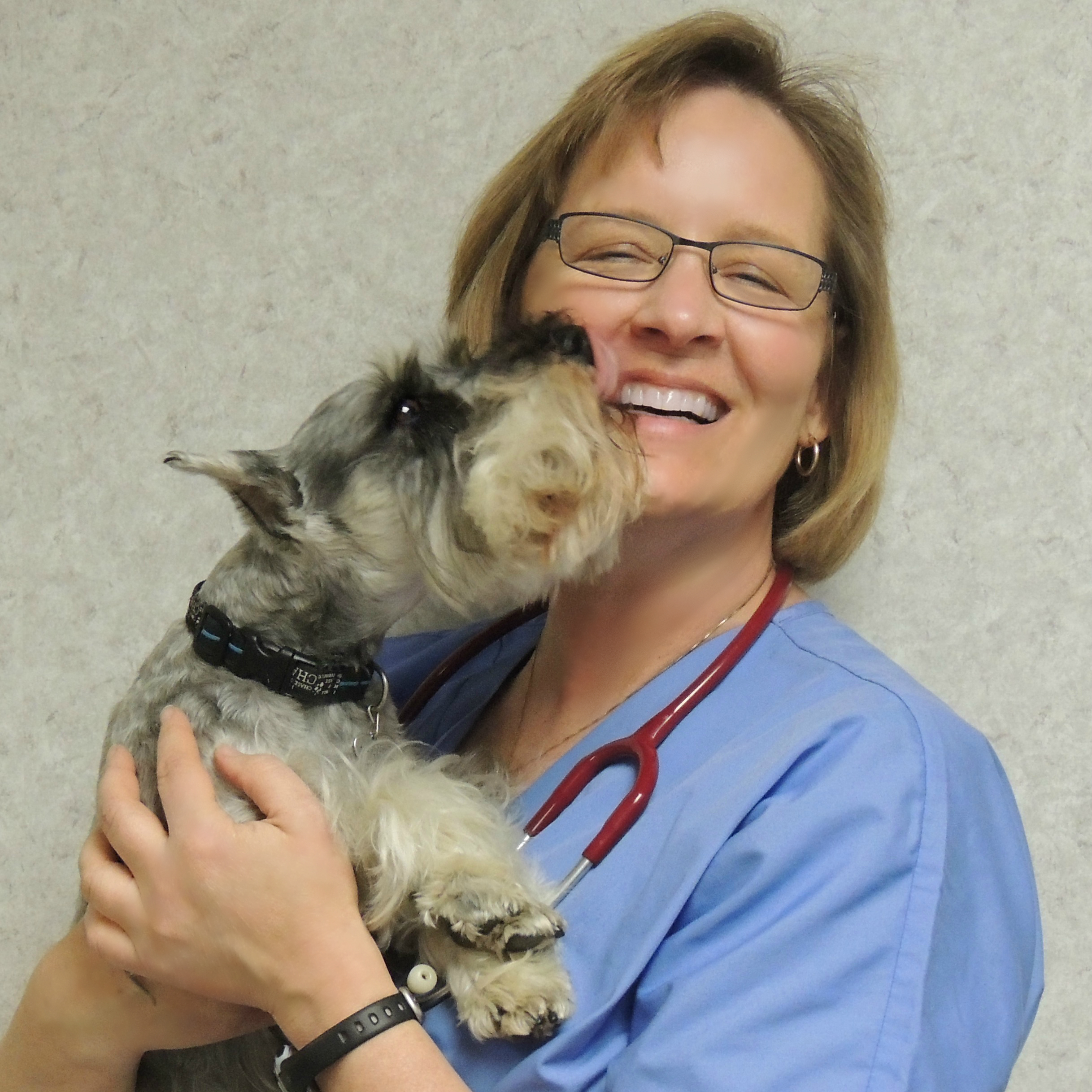 Logo for Ingersoll Animal Hospital