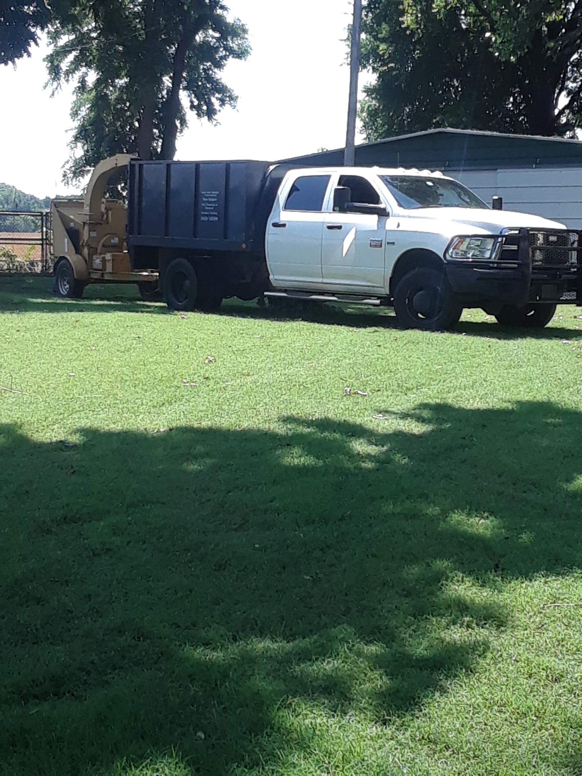Logo for Sam Tree Service & Stump Grinding