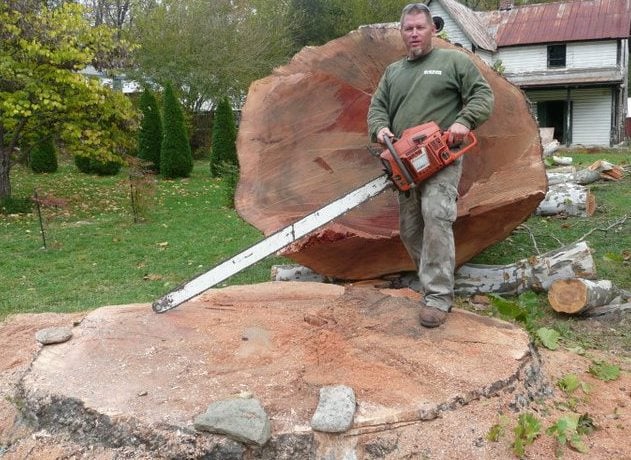 Logo for Bush Creek Tree Service LLC