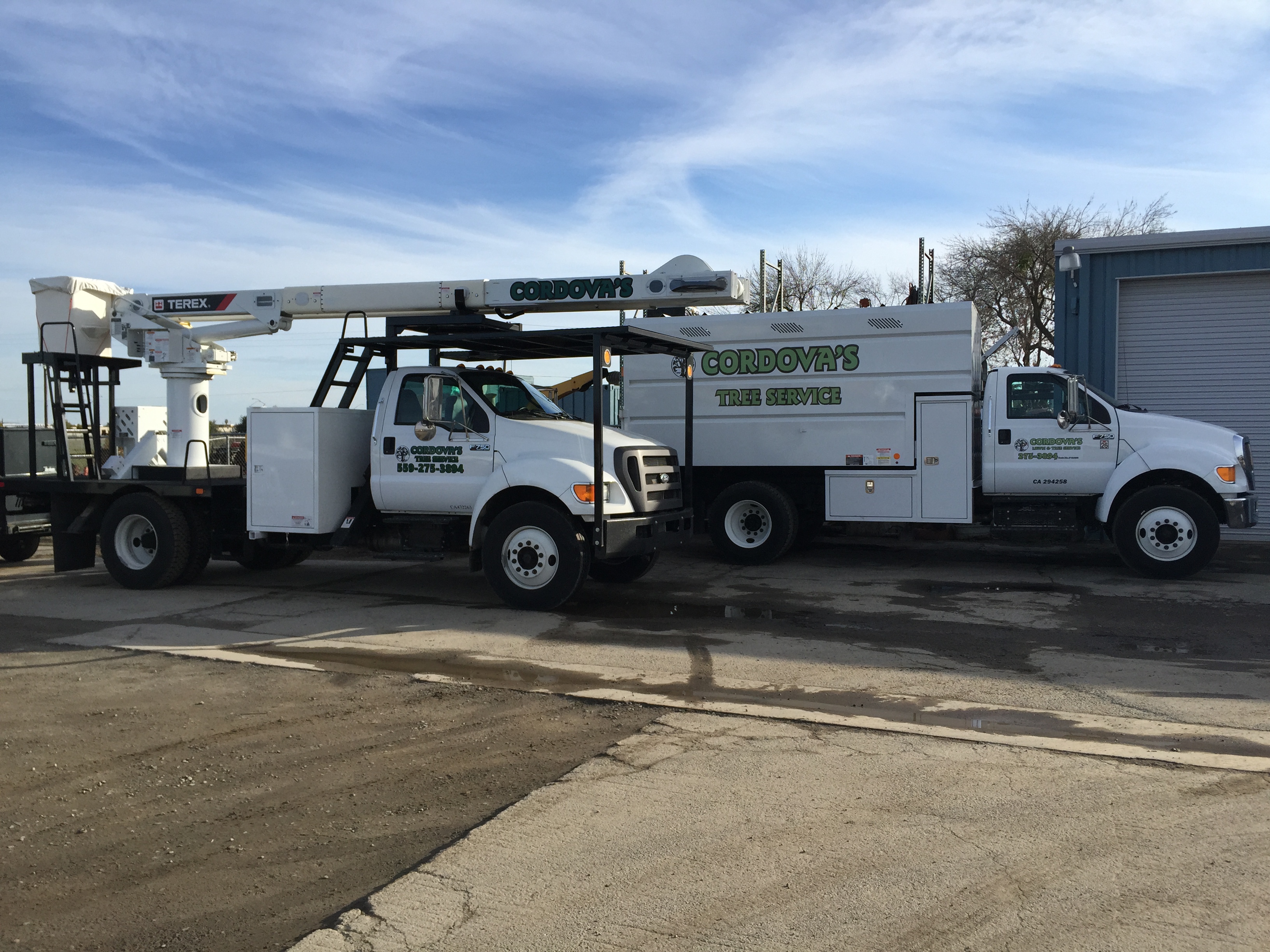 Logo for Cordova's Tree Service Inc.