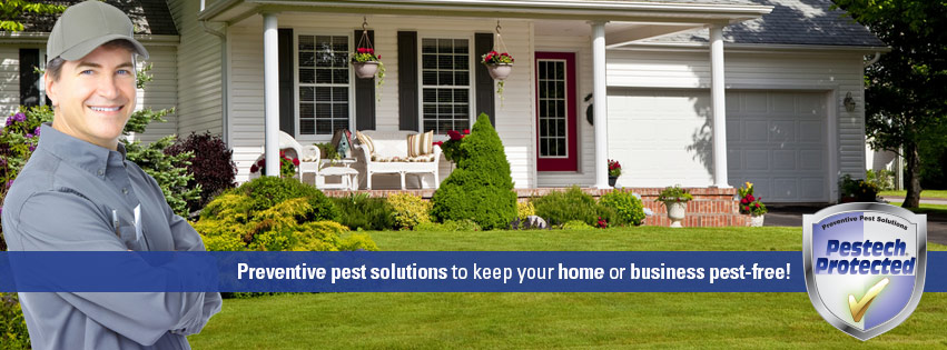 Avatar for Pestech - Pest Control Solutions