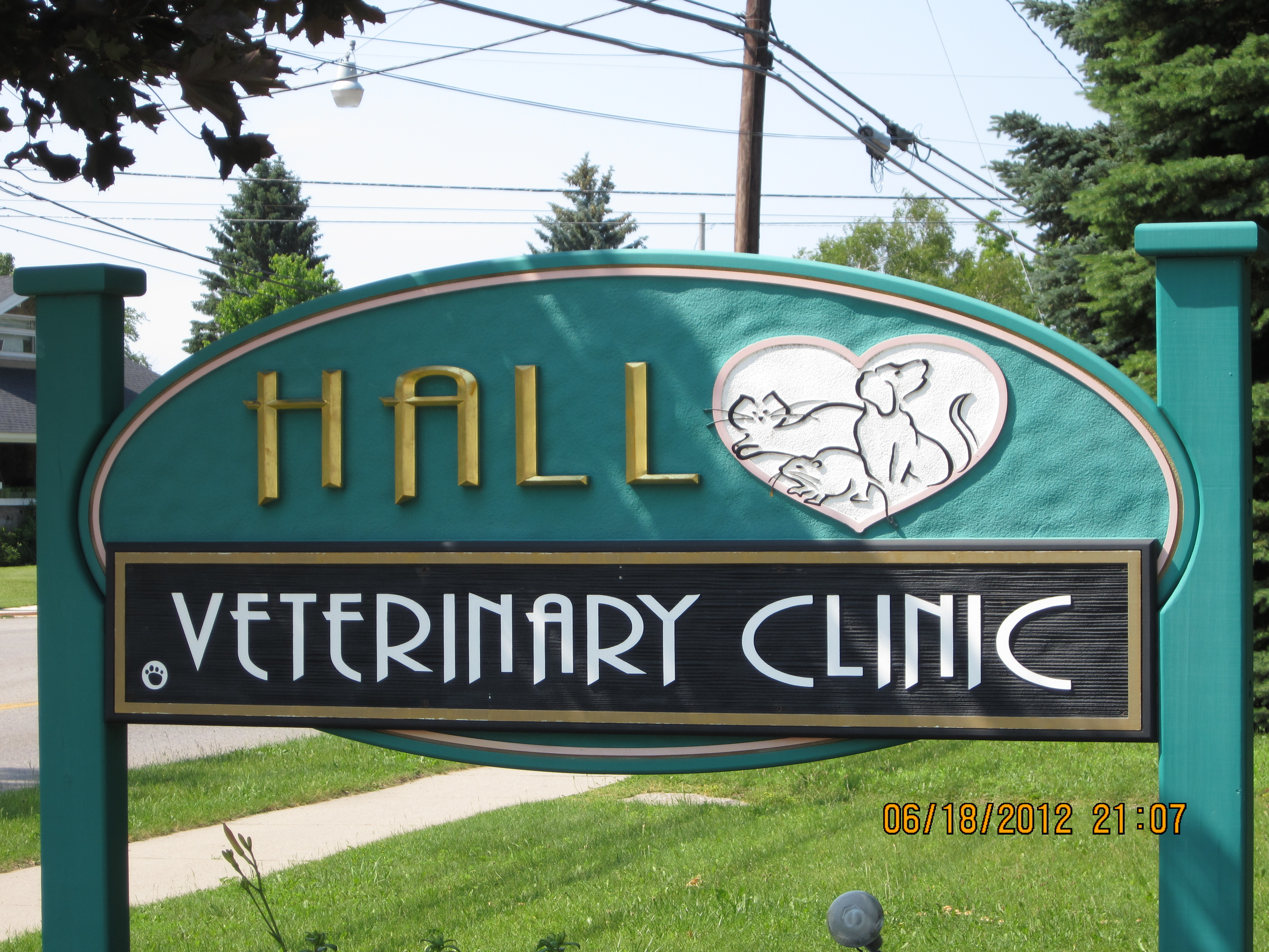 Logo for HALL VETERINARY CLINIC