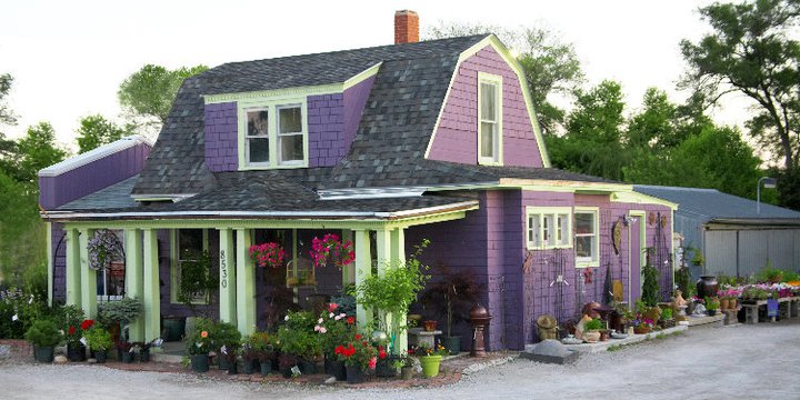 Avatar for DEE-SIGN GARDEN SHOP