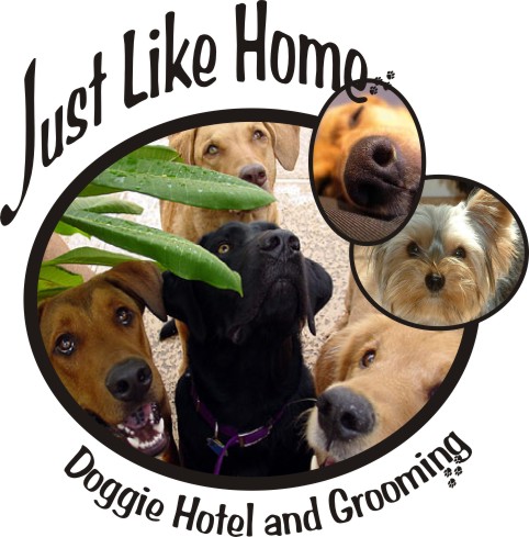 Logo for Just Like Home Doggie Hotel and Grooming