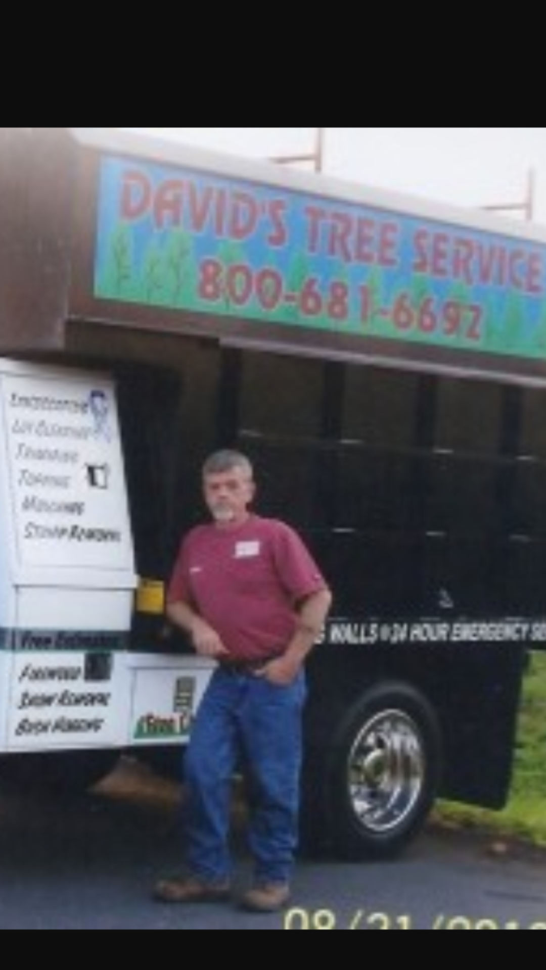 Logo for David's Tree Service