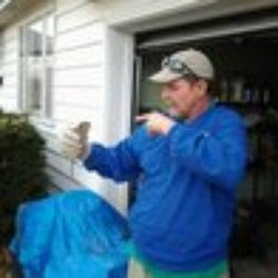 Avatar for Keller Pest Control