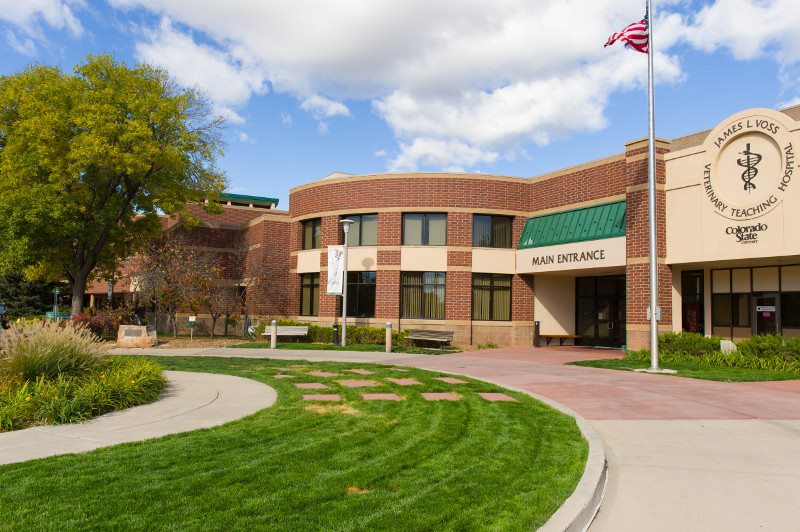 Logo for Veterinary Teaching Hospital - Colorado State Univ