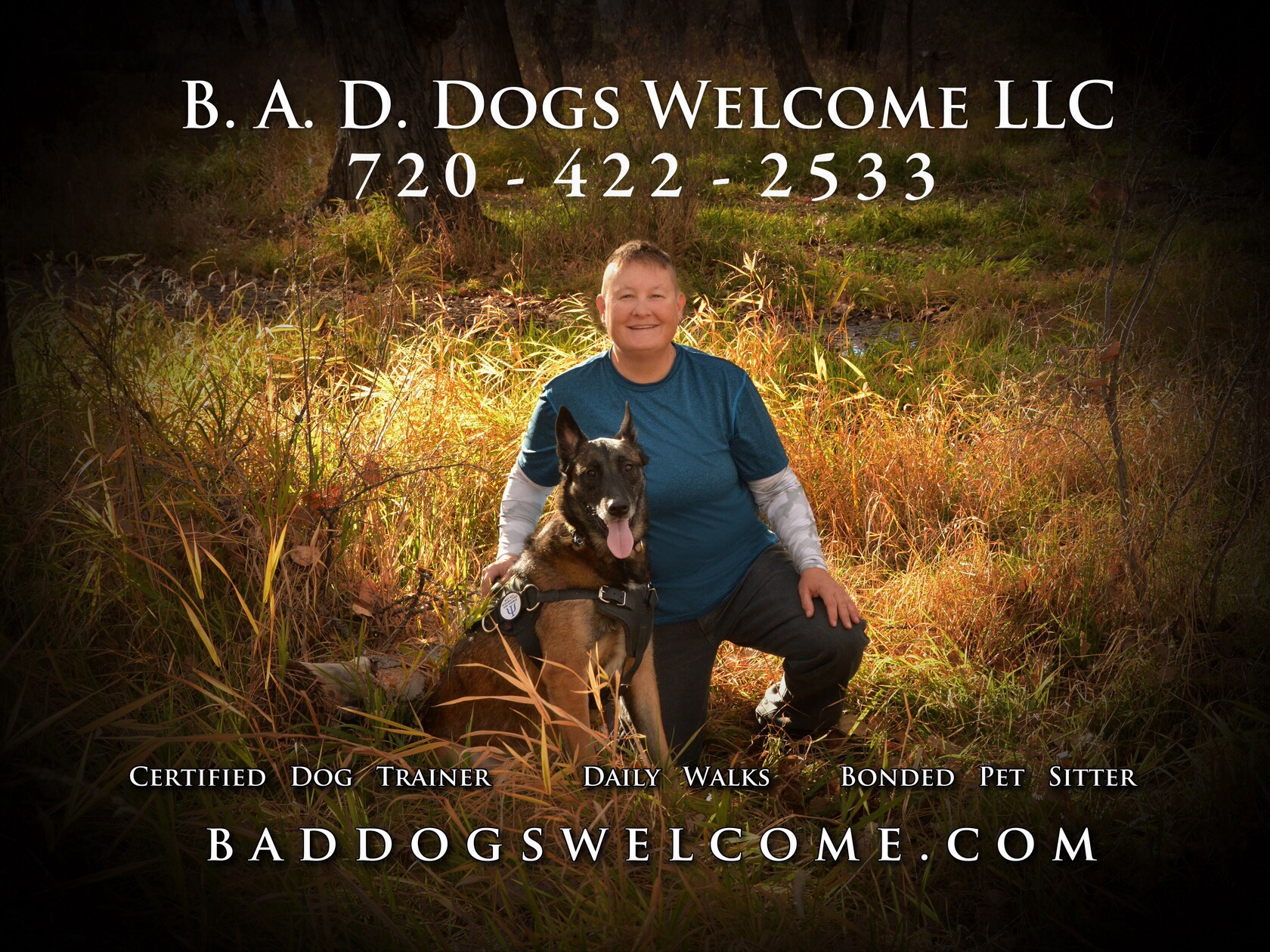 Logo for B.A.D. Dogs Welcome LLC