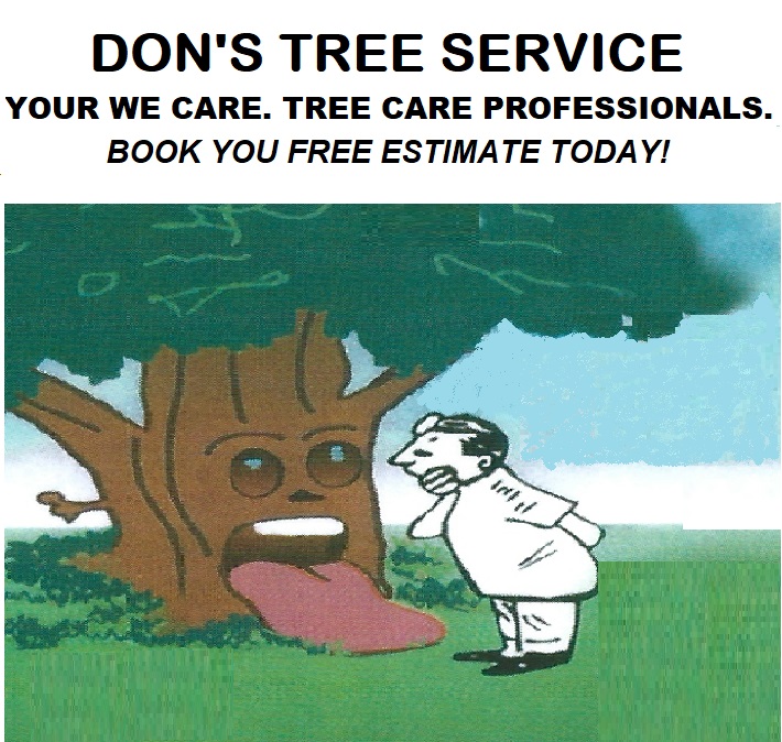 Don &amp; Son Tree Service/ Don�s Tree Service. Reviews