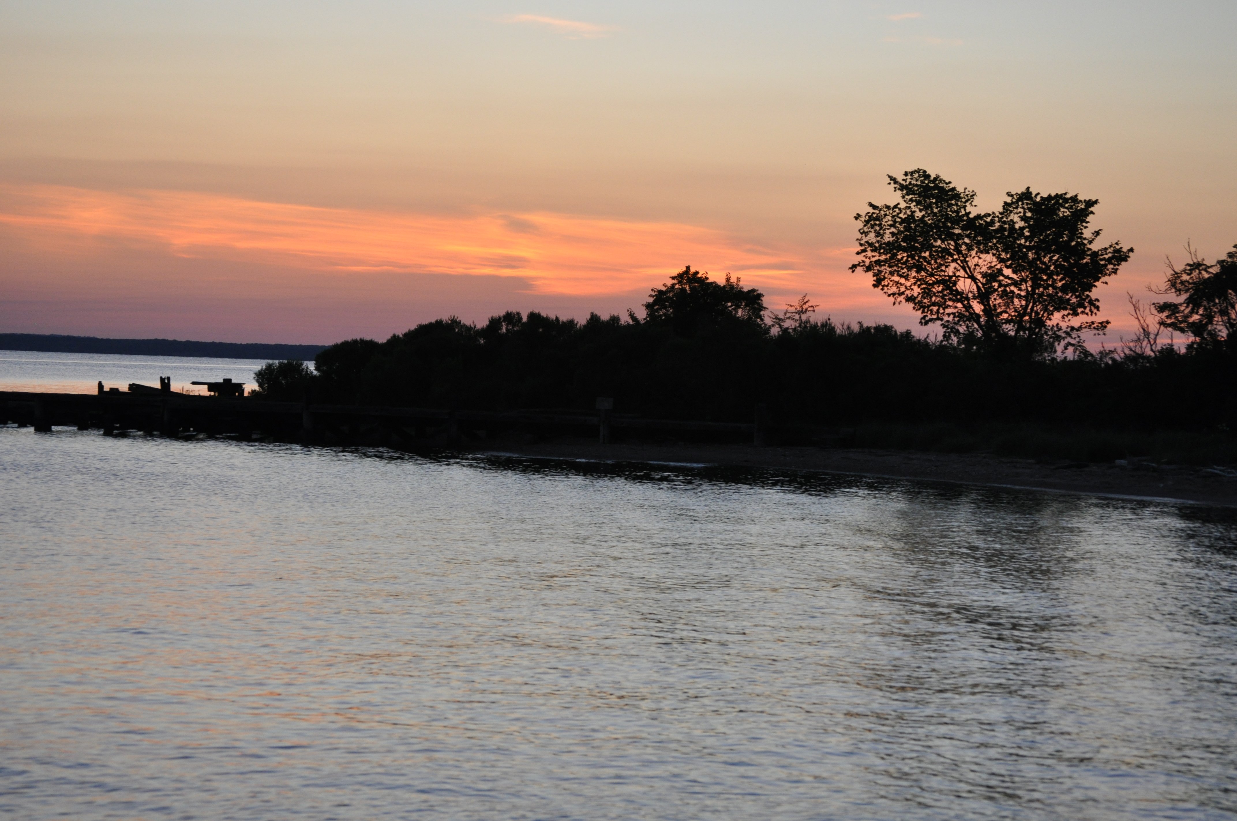 Avatar for AED Abatement Services