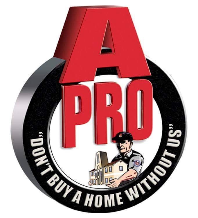 A-Pro Home Inspections logo