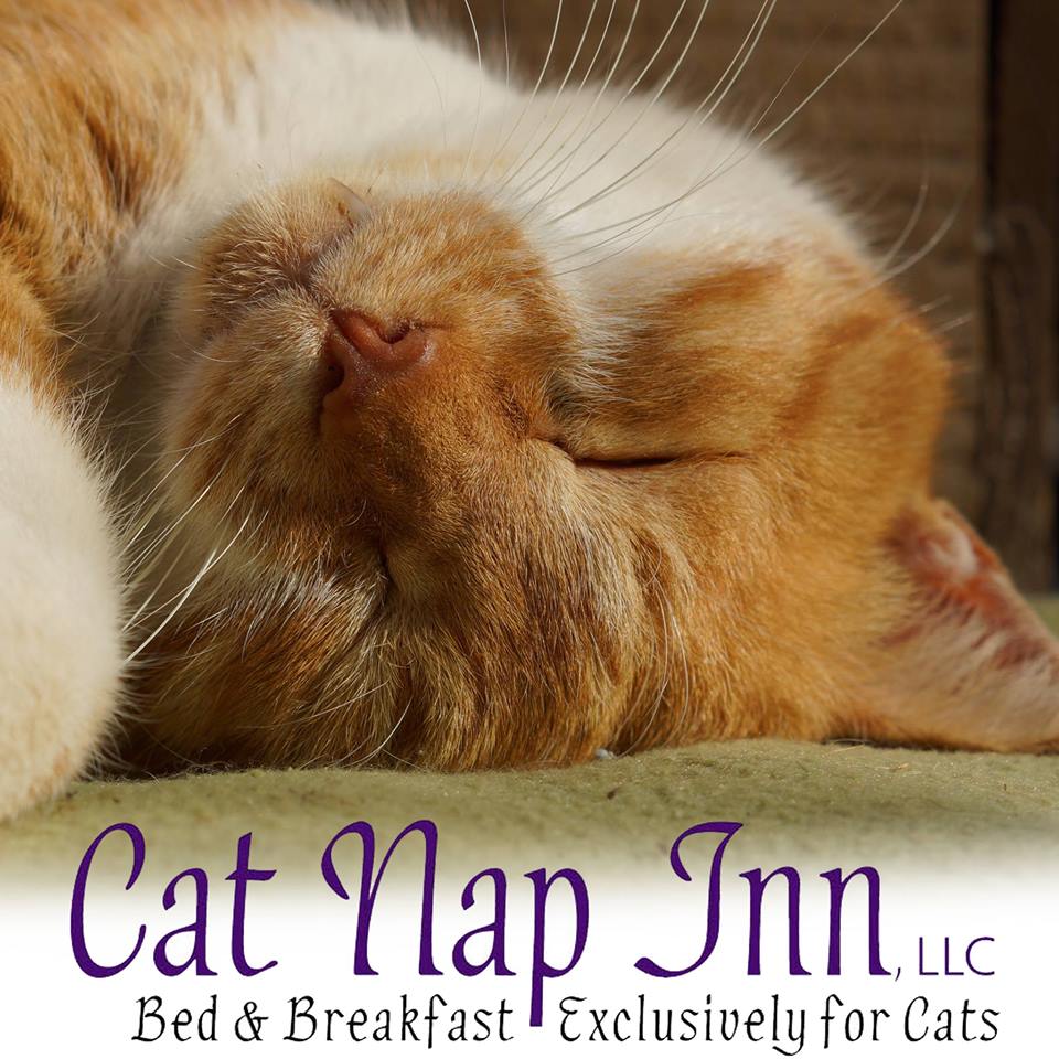 Cat Nap Inn logo