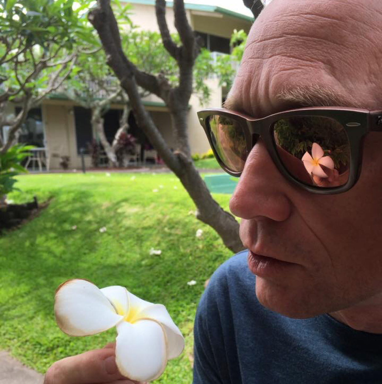 Avatar for Mead Equipment Service