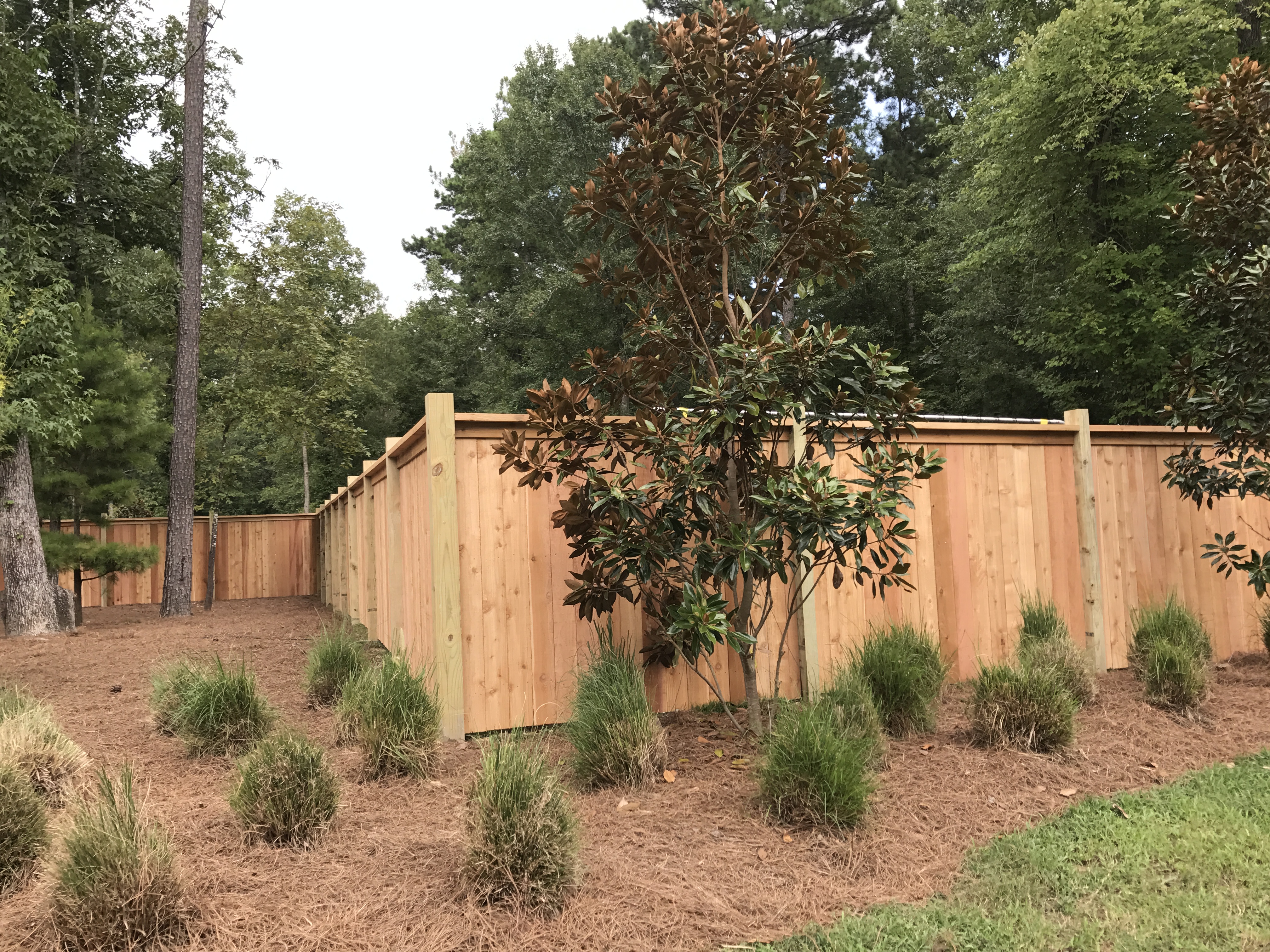 Avatar for Perimeters Plus