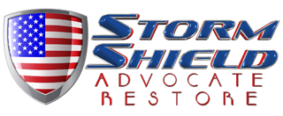 Storm Shield logo