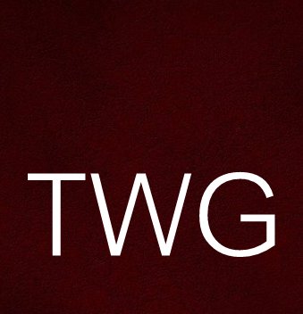 Logo for TWG Contractors
