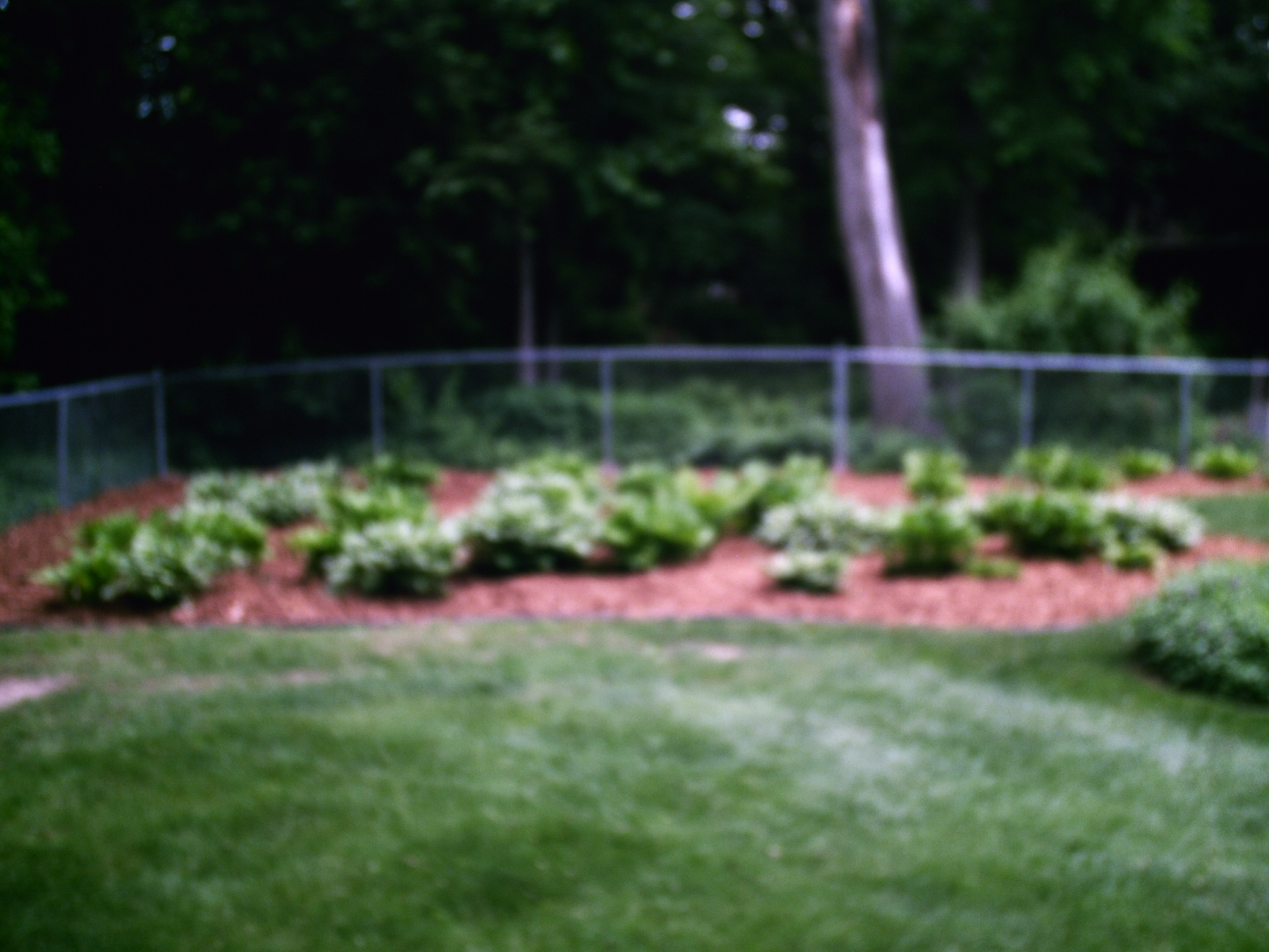 Husky Landscaping & Lawn Care, LLC logo