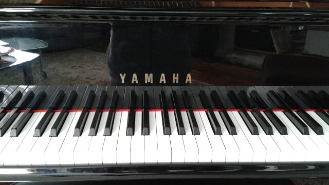 Avatar for N&K Enterprises, LLC