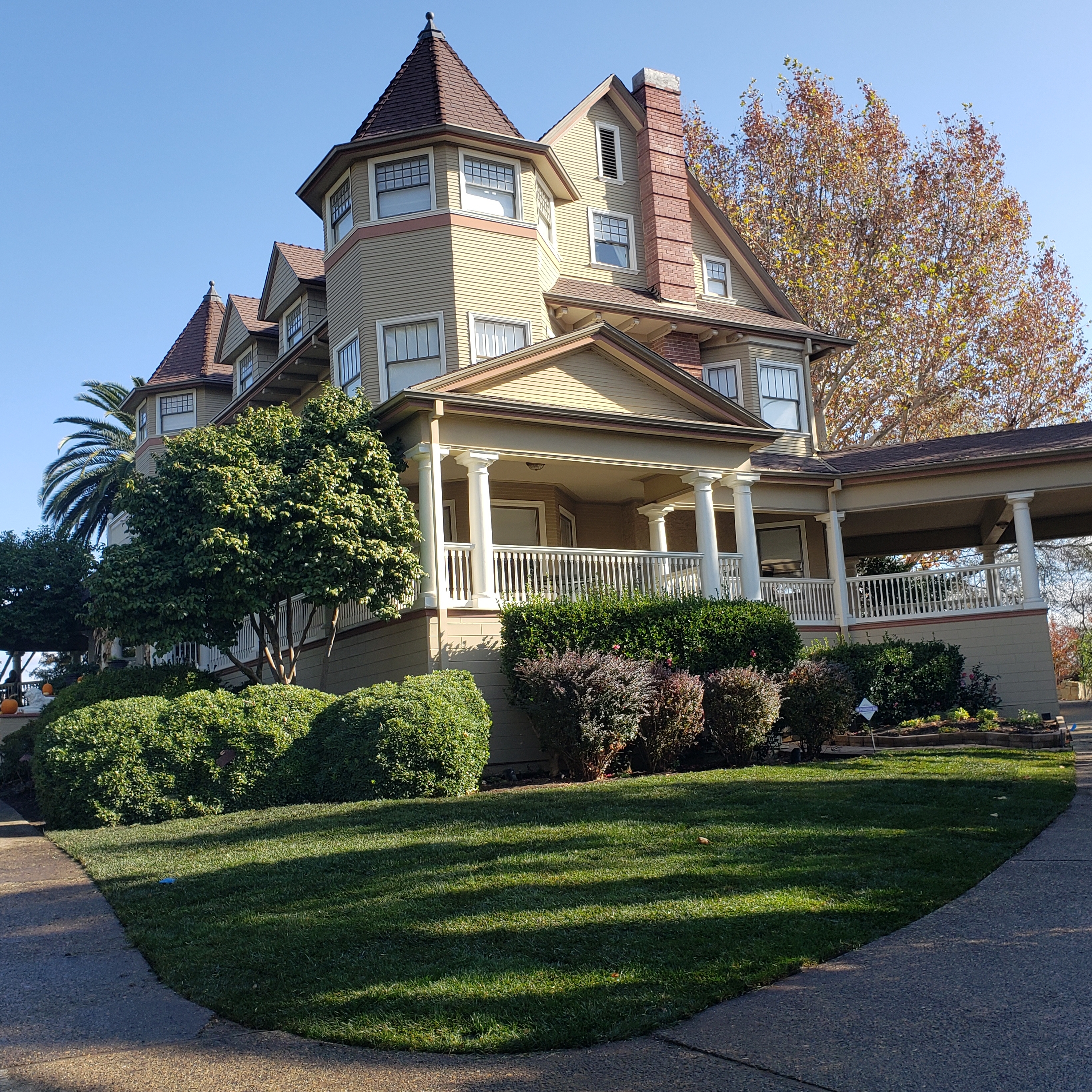 Avatar for Fig's Landscaping