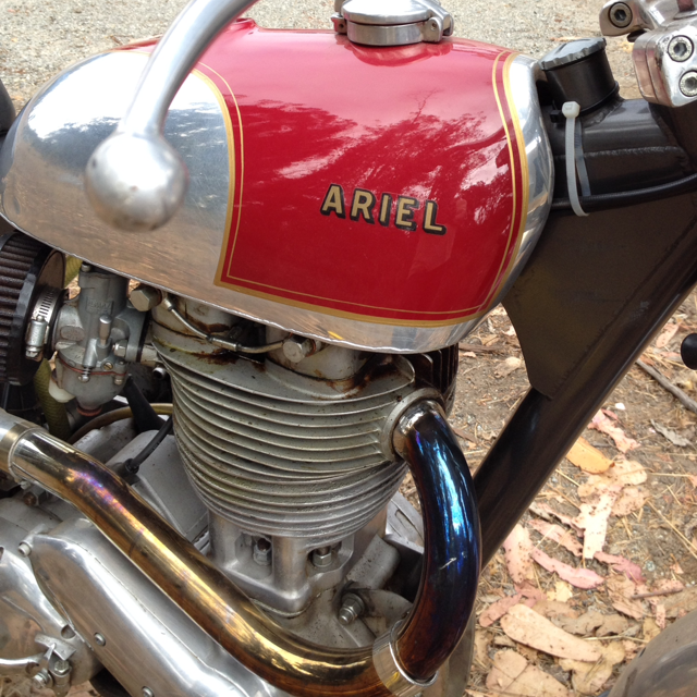 Avatar for Nelson Meza